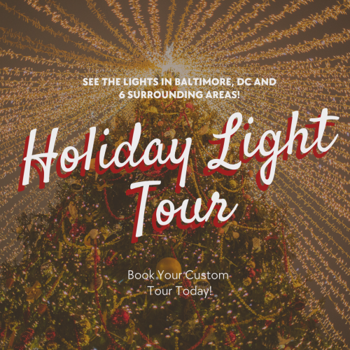 Holiday Light Tour Christmas Tree